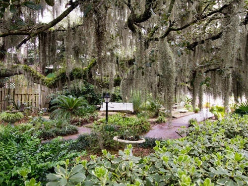 Tybee Island Inn Bed & Breakfast image 6